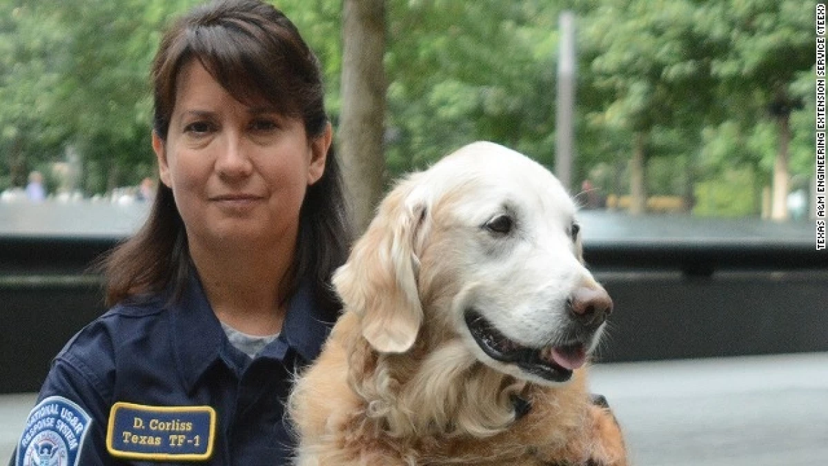 bretagne perro rescatista 9/11