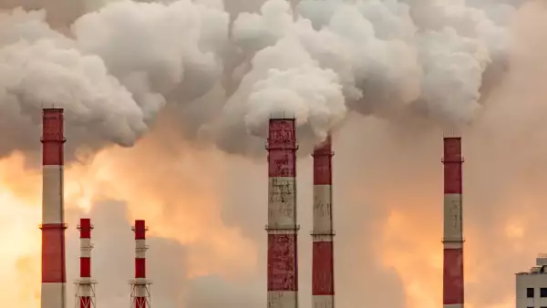 Jeanett Trad, de Hogan Lovells llamó a las empresas que frenaron sus actividades por la contingencia a utilizar las plataformas digitales para cumplir con sus obligaciones ambientales.