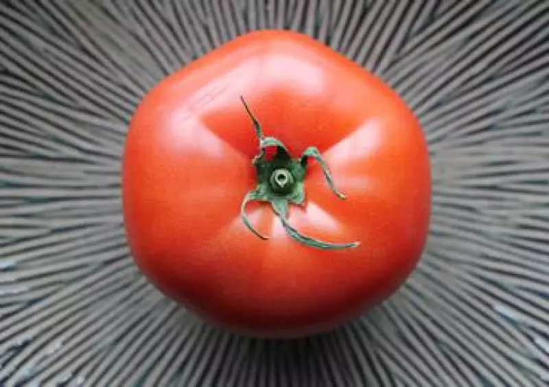 Tomate
