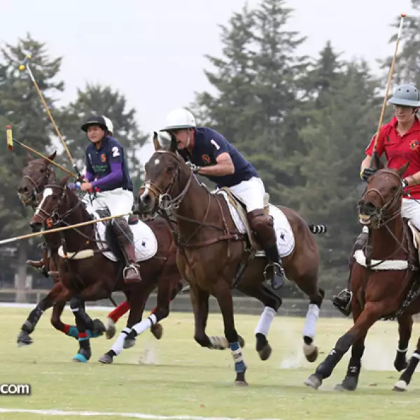 Rodrigo Ruiz, Benito Hernández, Rogelio Igartua y Jaime Creixell