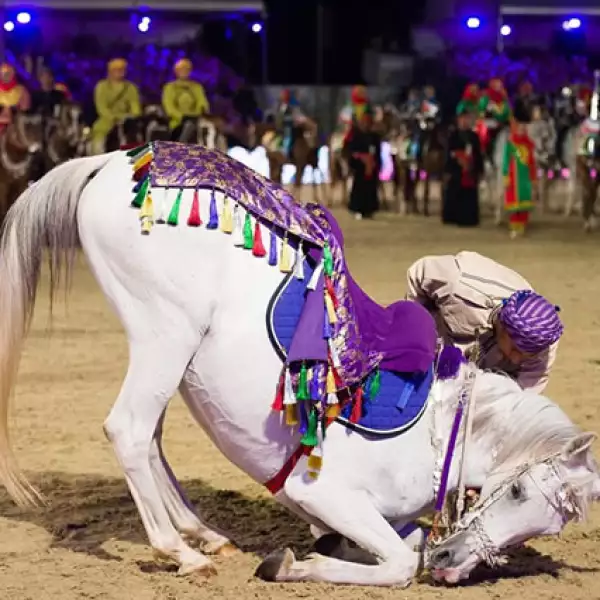Y hasta un espectáculo de caballos danzantes.