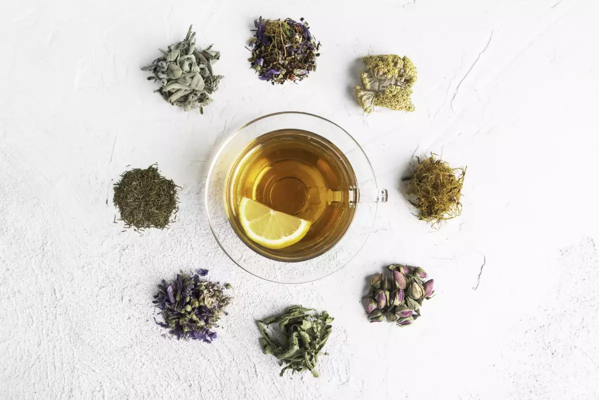 Infusiones durante la lactancia 

