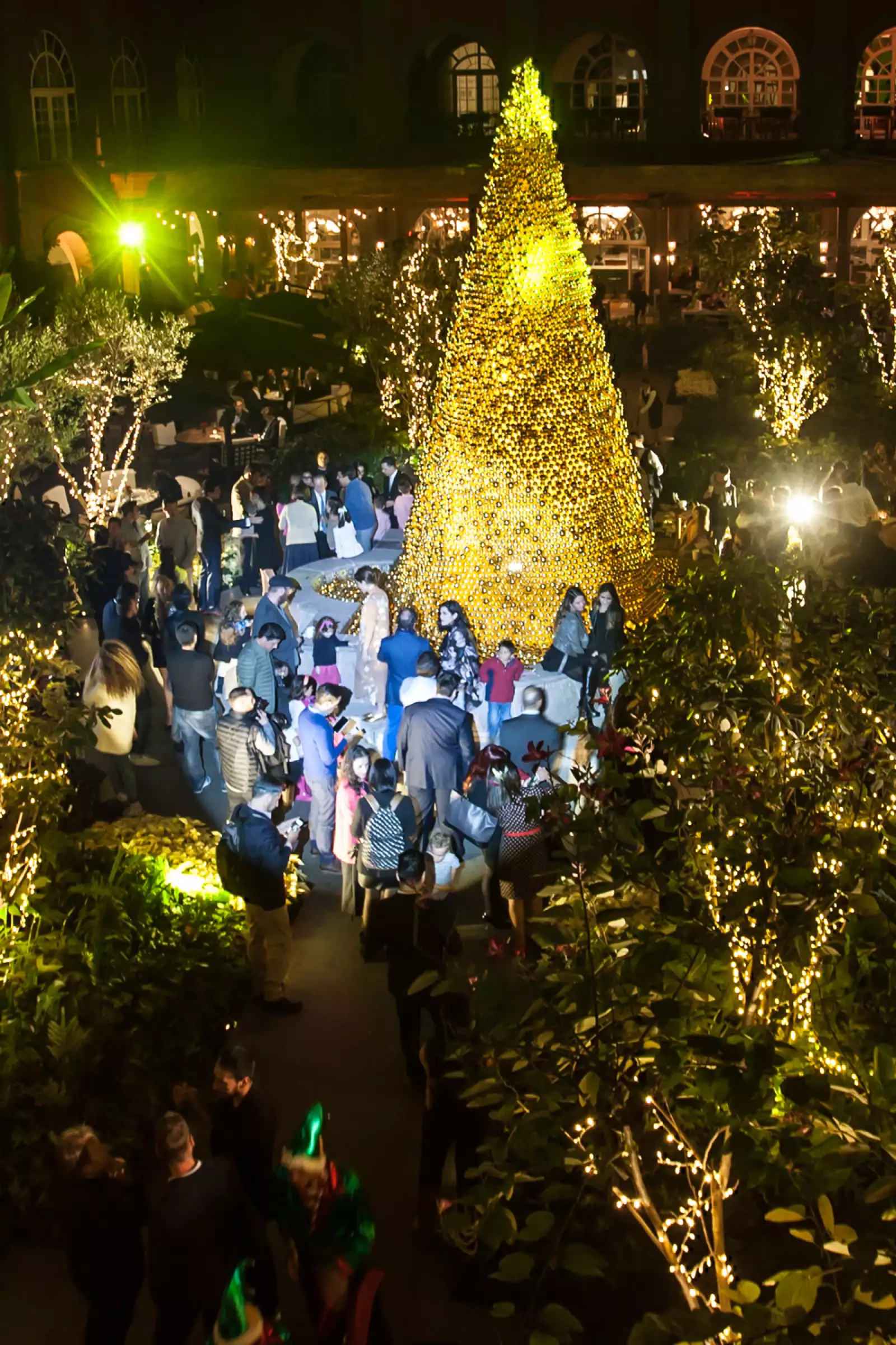 Encendido del Árbol de Navidad del Four Seasons