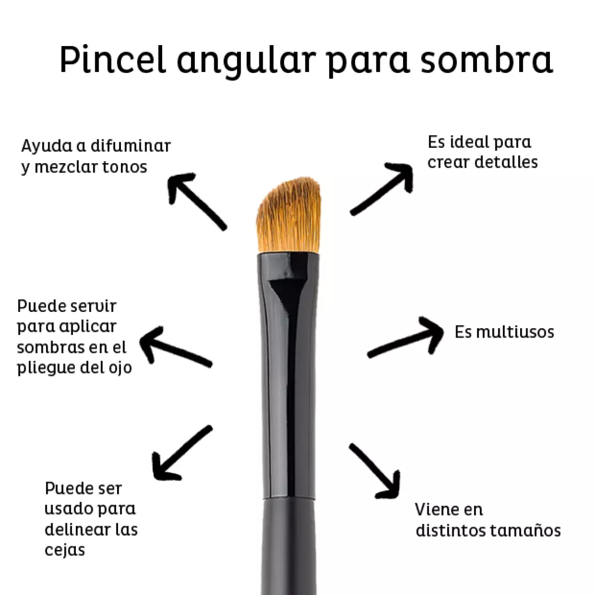 Después de haber conocido los usos de las brochas para maquillaje, te enseñamos para qué sirve cada pincel para sombras en los ojos.