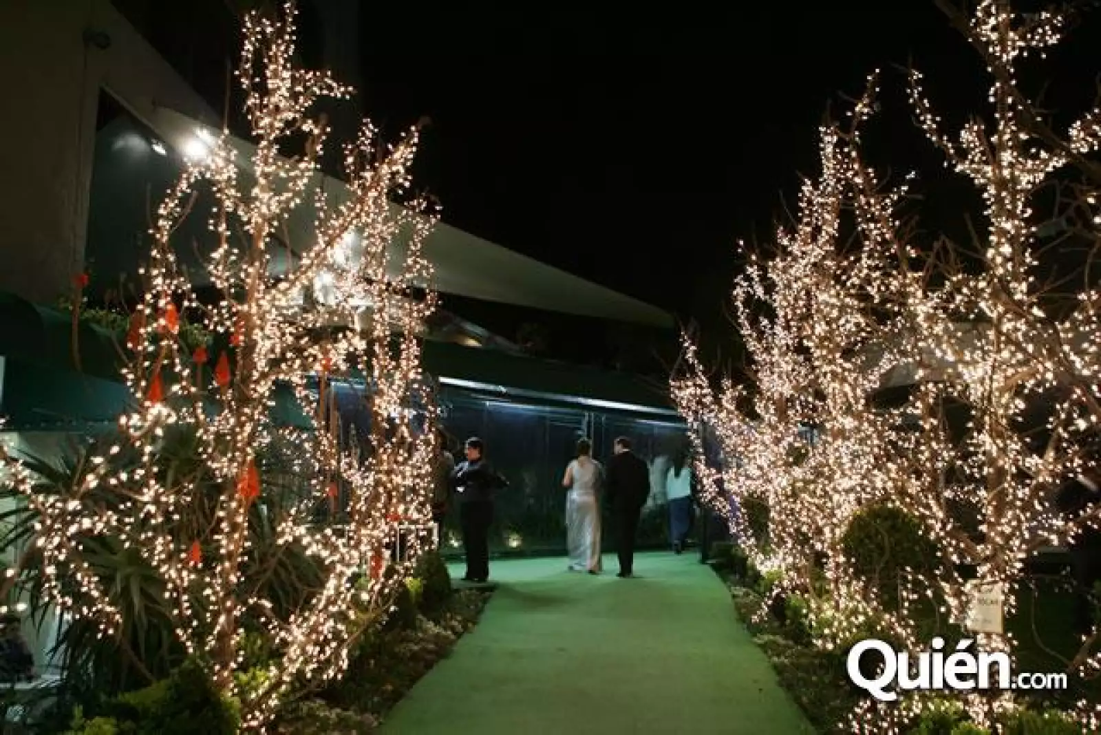 Boda Rodrigo Campos, Alejandra Zubiaur.