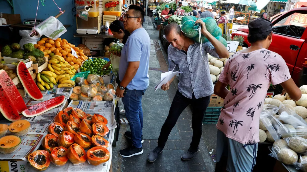 inversion consumo privado mexico