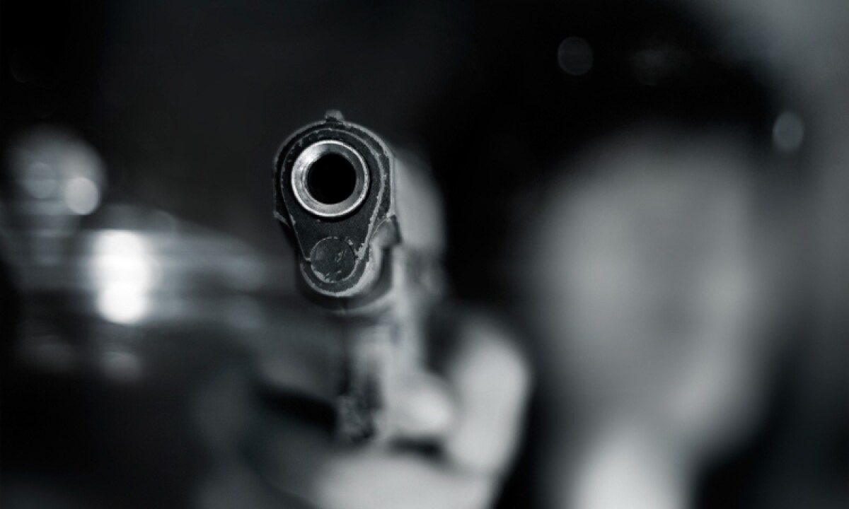 Cuál es la relación entre las armas de fuego y los feminicidios?
