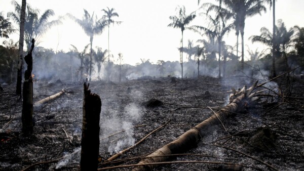 Incendio Amazonas-3