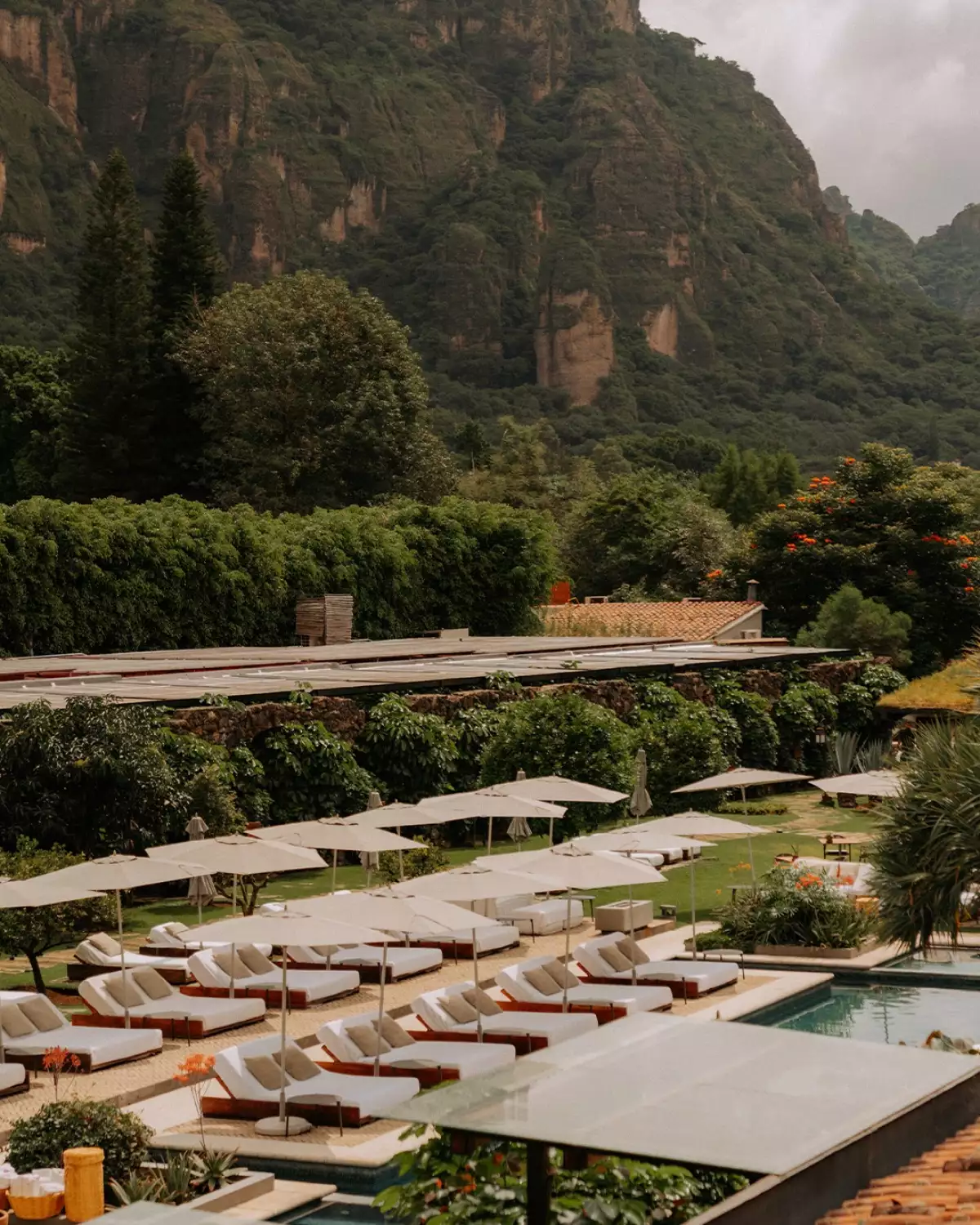 Instagram - @amomoxtli