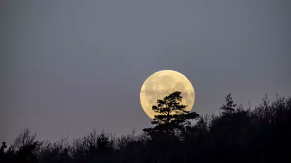 eventos-astronomicos-marzo-2024