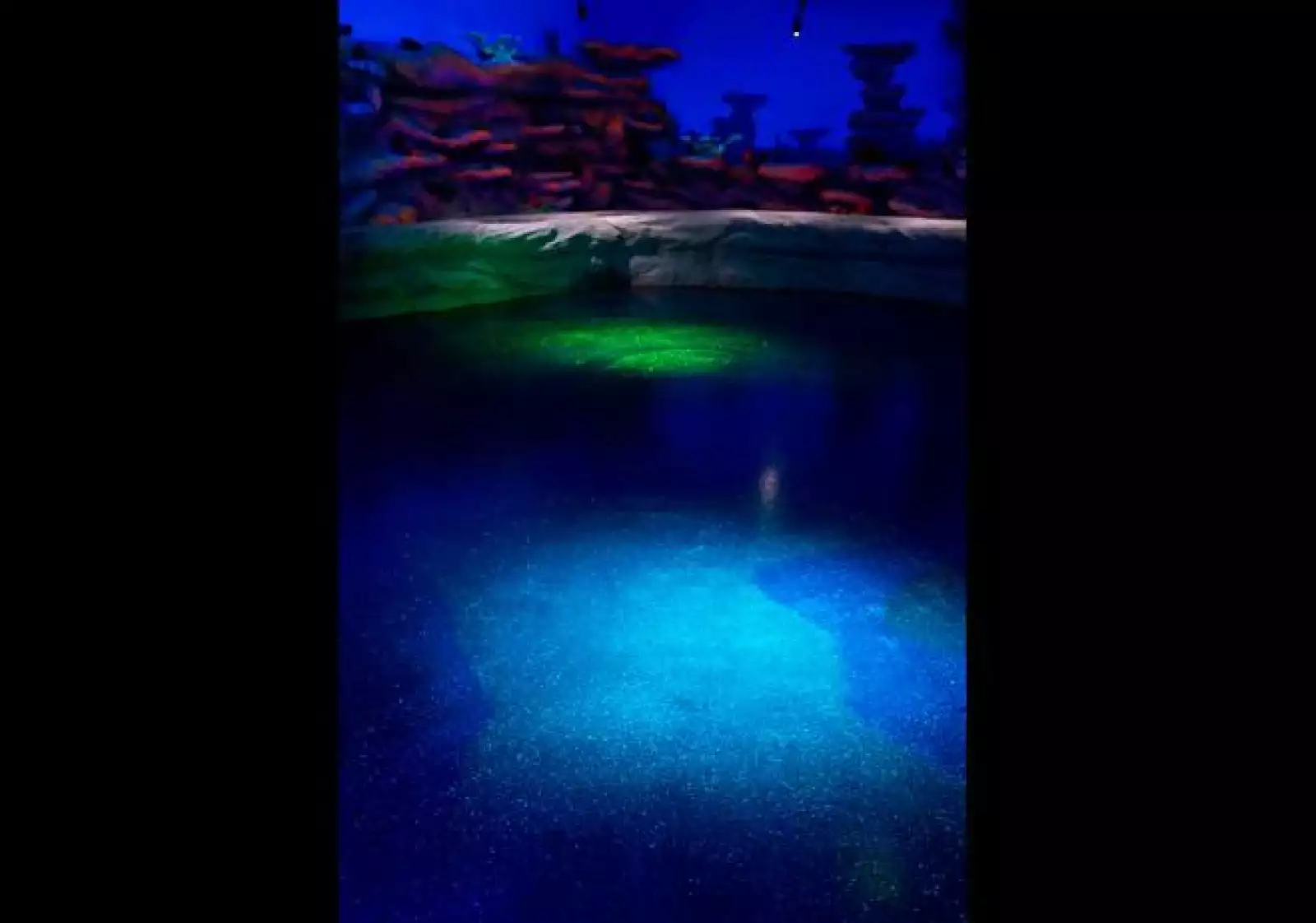 Aquarium 04