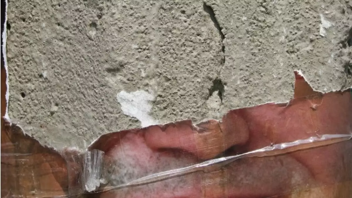 basura electoral