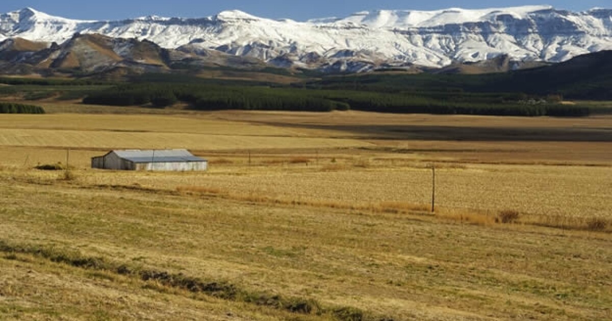 Esquiar En Africa Un Pequeno Pais Subsahariano Ofrece Esta Oportunidad El fenomeno llama tanto la atencion ya que desde hace 37 anos no cae nieve en este enorme territorio de altas temperaturas, que promedian los 45 y 50 grados. esquiar en africa un pequeno pais