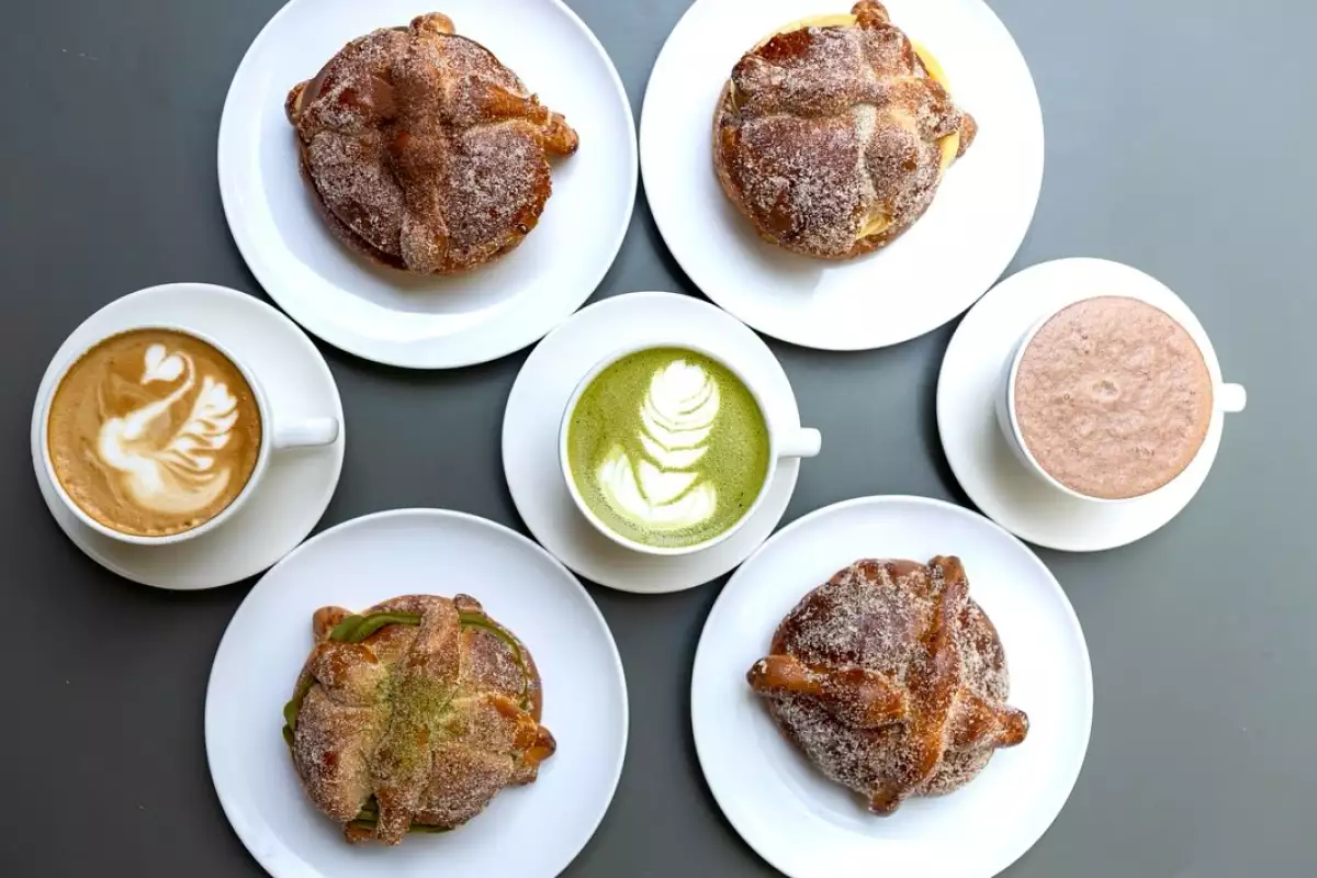 Instagram - @rutadelasedamx