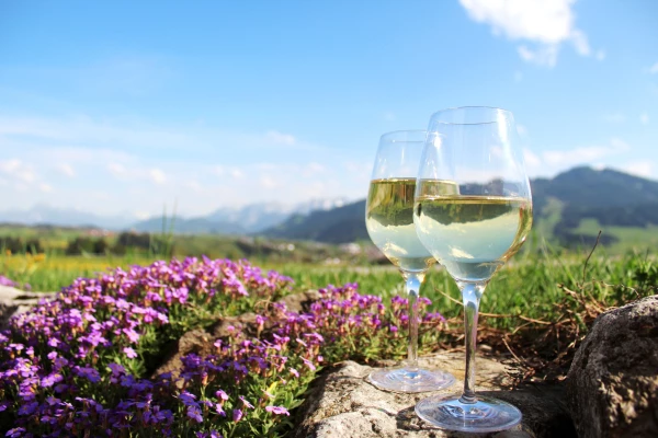 Wine