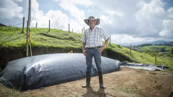 Biocombustible con estiércol