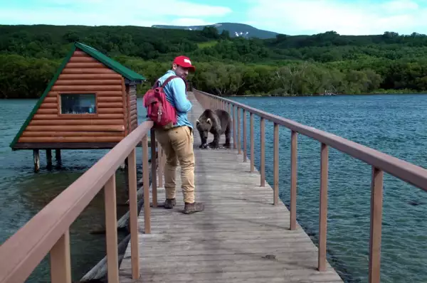 Arturo Islas Allende osos pardo