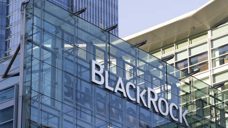 BlackRock es una las firmas de administración de activos más importantes del mundo.