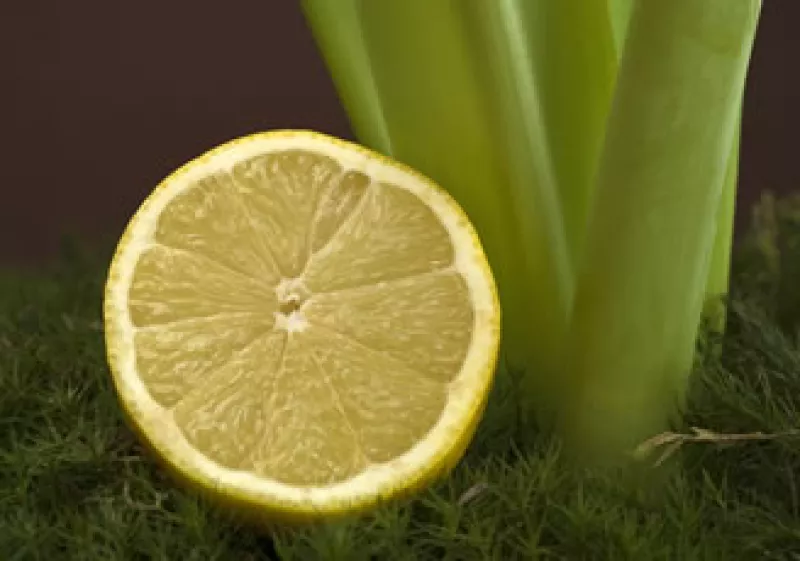 El limón fue el producto que mayor aumento registró en su precio durante noviembre y el que mayor efecto tuvo sobre la inflación. (Foto: Photos to go)