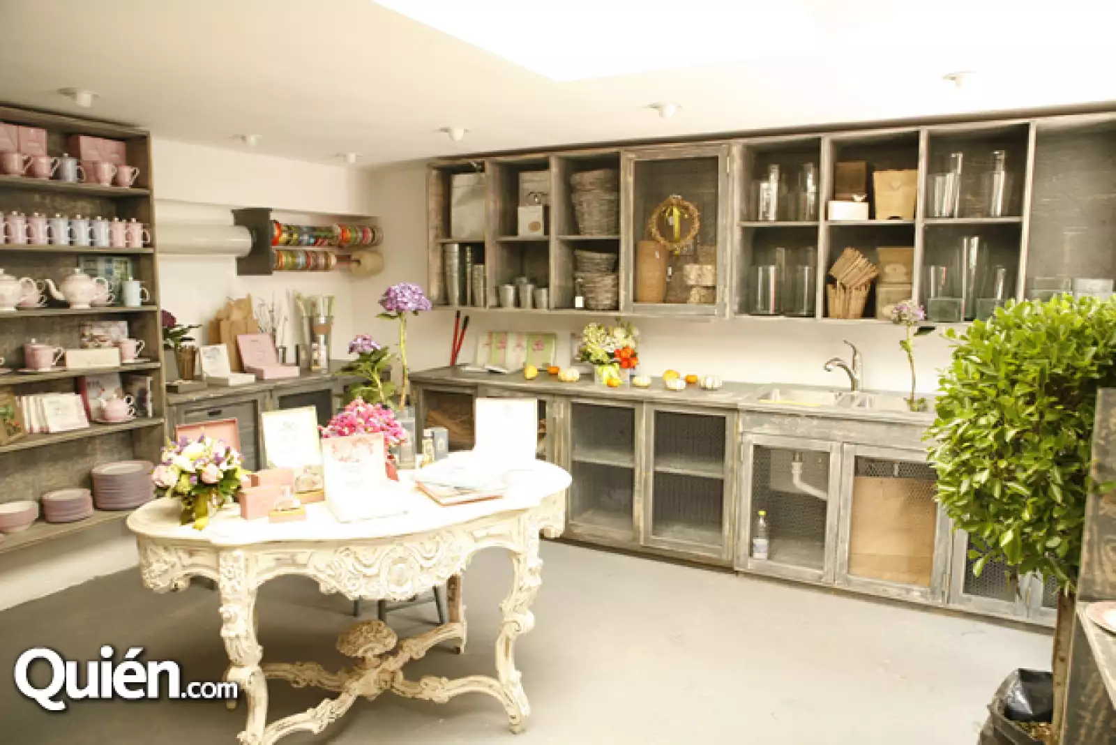 Punto i coma pedregal