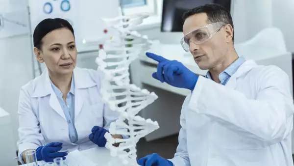 Professioanl researchers analysing a dna model