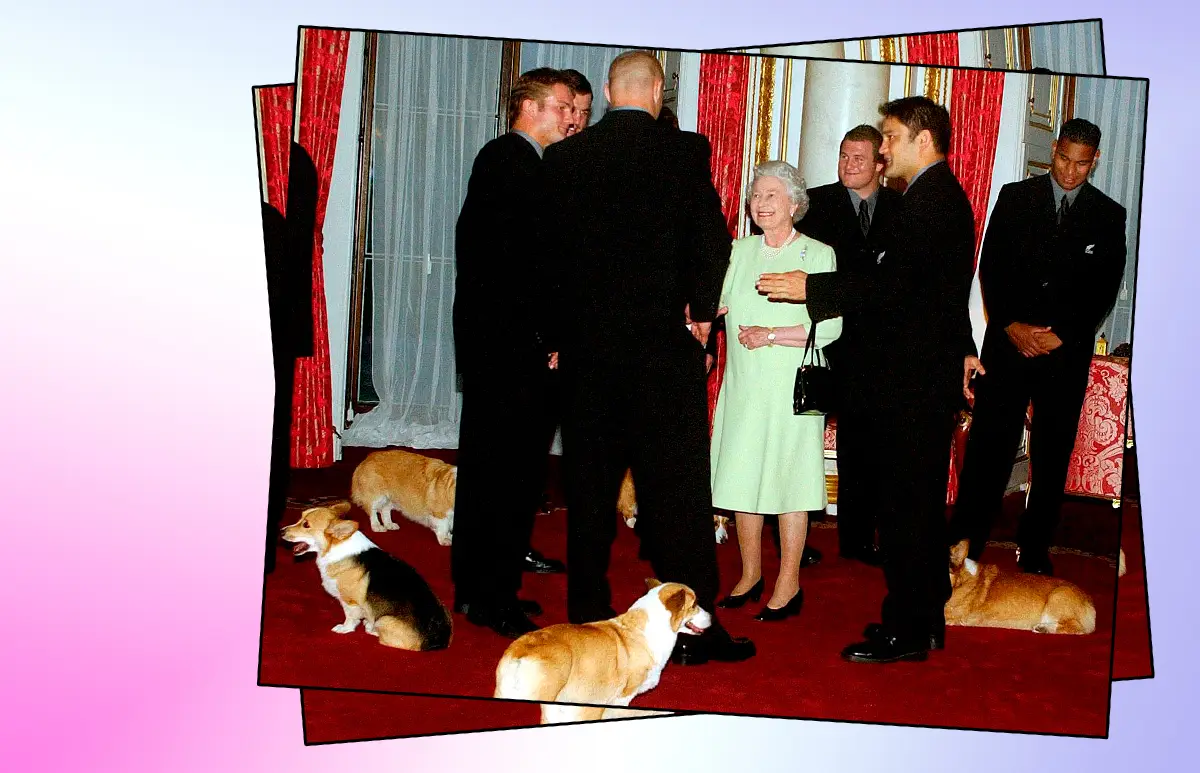 ELIZABETH-DOGS.jpg
