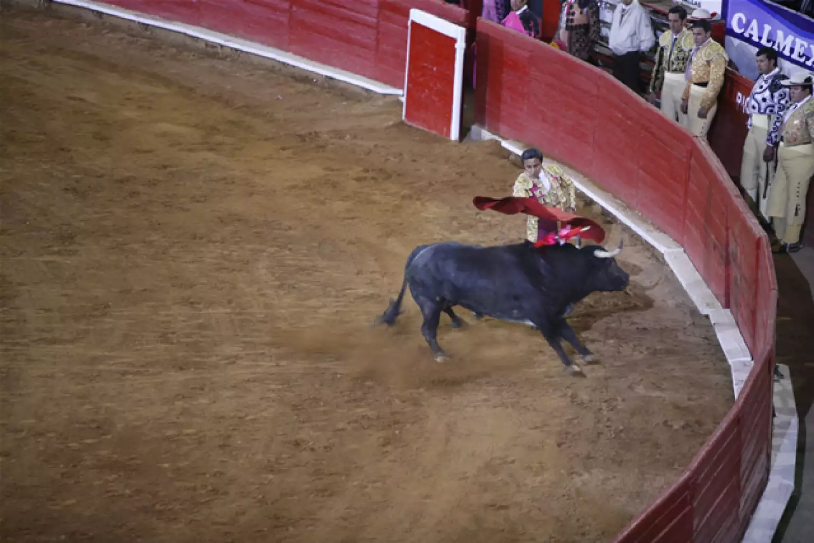 Aniversario Plaza de Toros