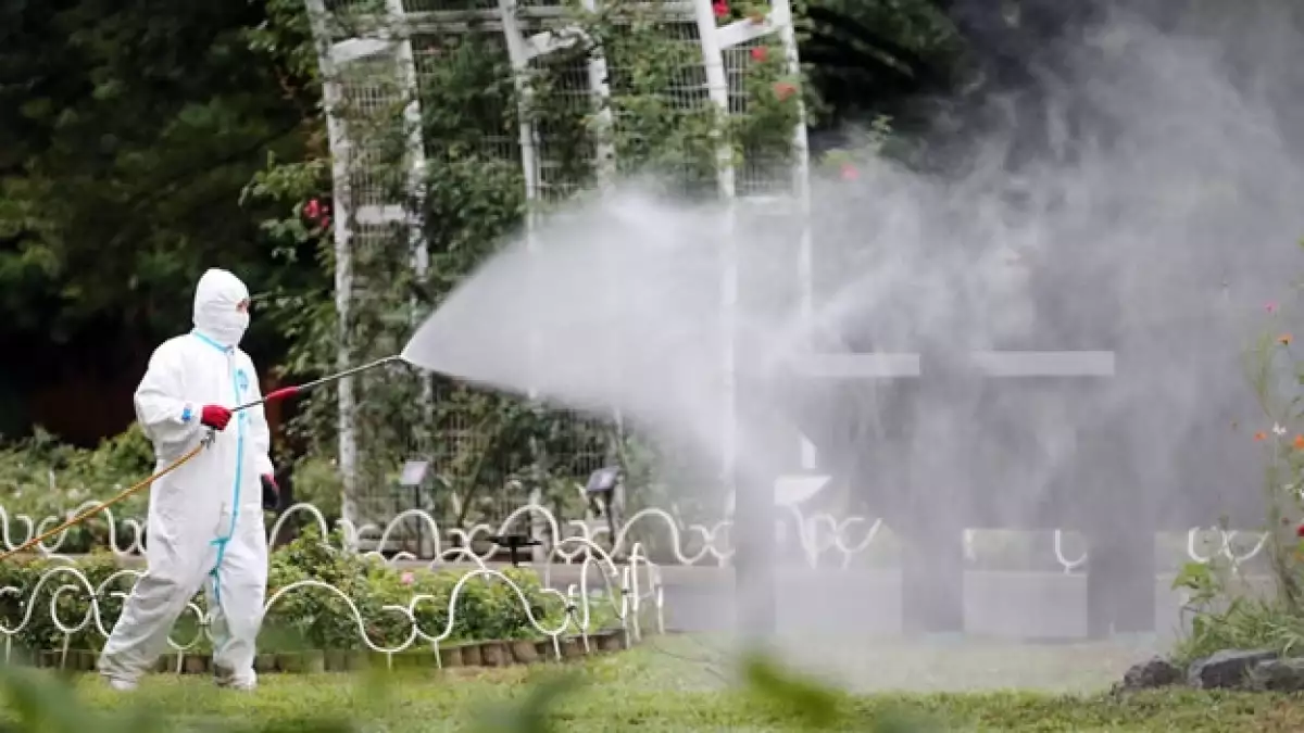 Un hombre fumiga el parque Yoyogi Park