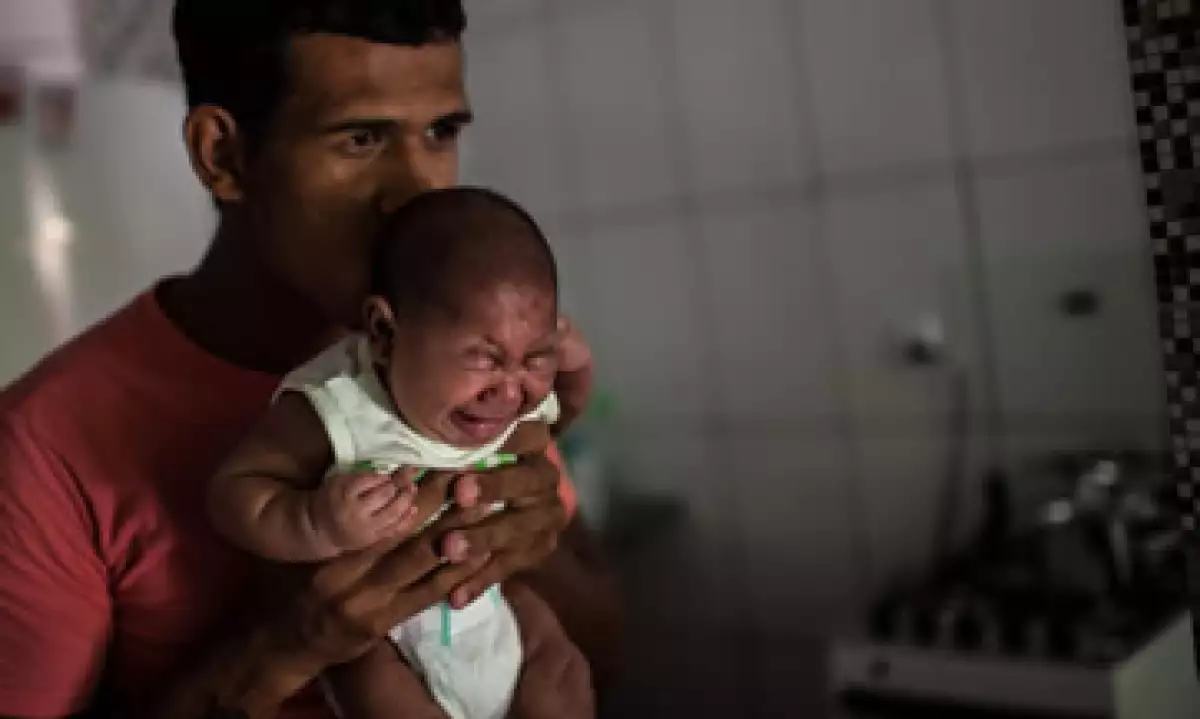 Las autoridades de Brasil investigan el posible contagio vía oral del zika (Foto: AFP )