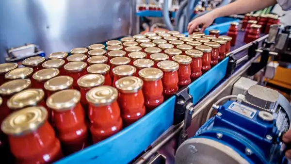 produccion-latas-pure-tomate.jpeg
