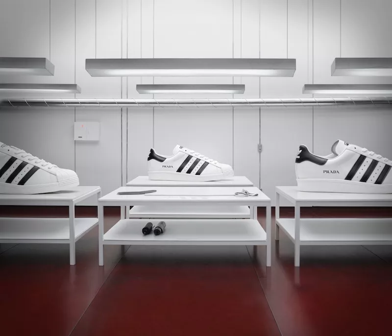 Life and Style Prada Superstar 4.jpg