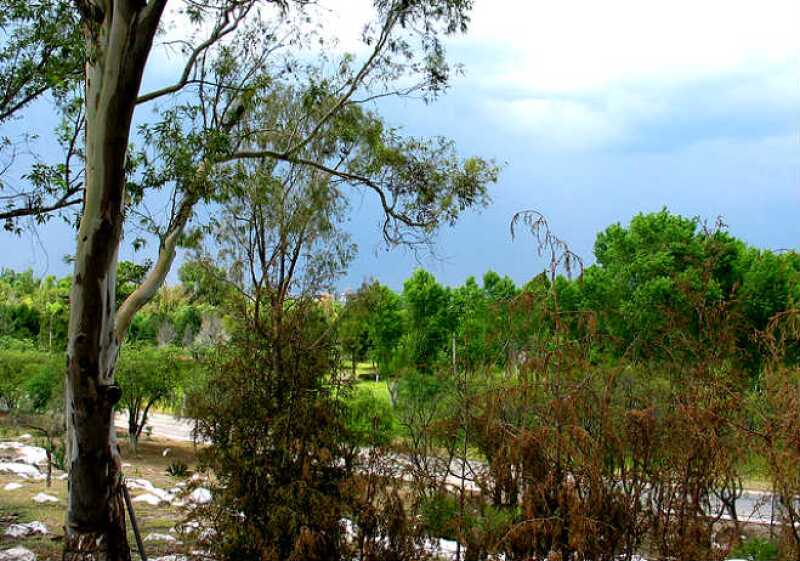 Parque San Luis Potos�