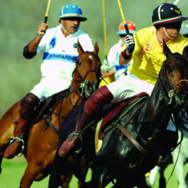 Fernando Pliego, Diego Velarde