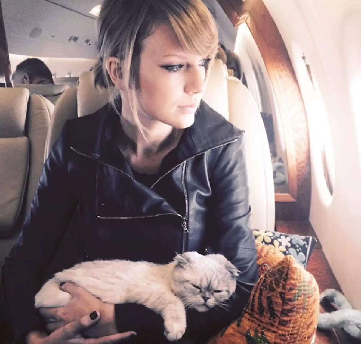 Hoy se celebra en redes sociales el día internacional del gato, y recordamos algunos personajes que son amantes de estos adorables animalitos.