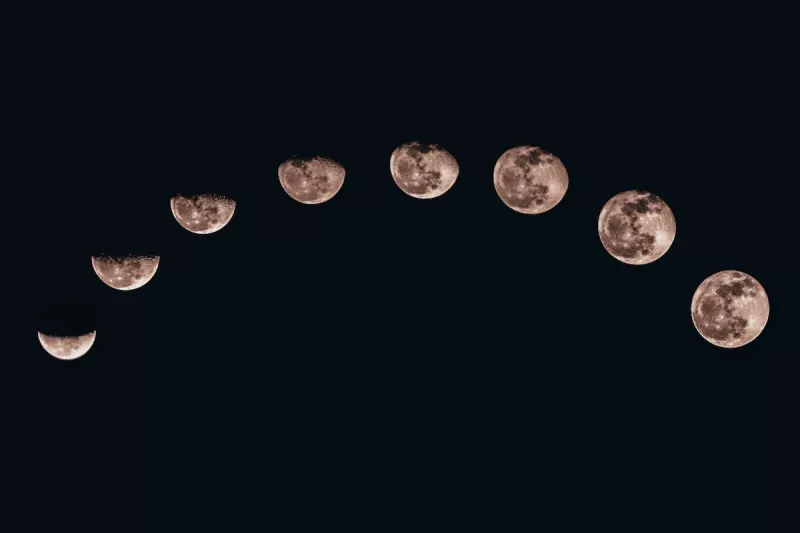 fases de la luna 
