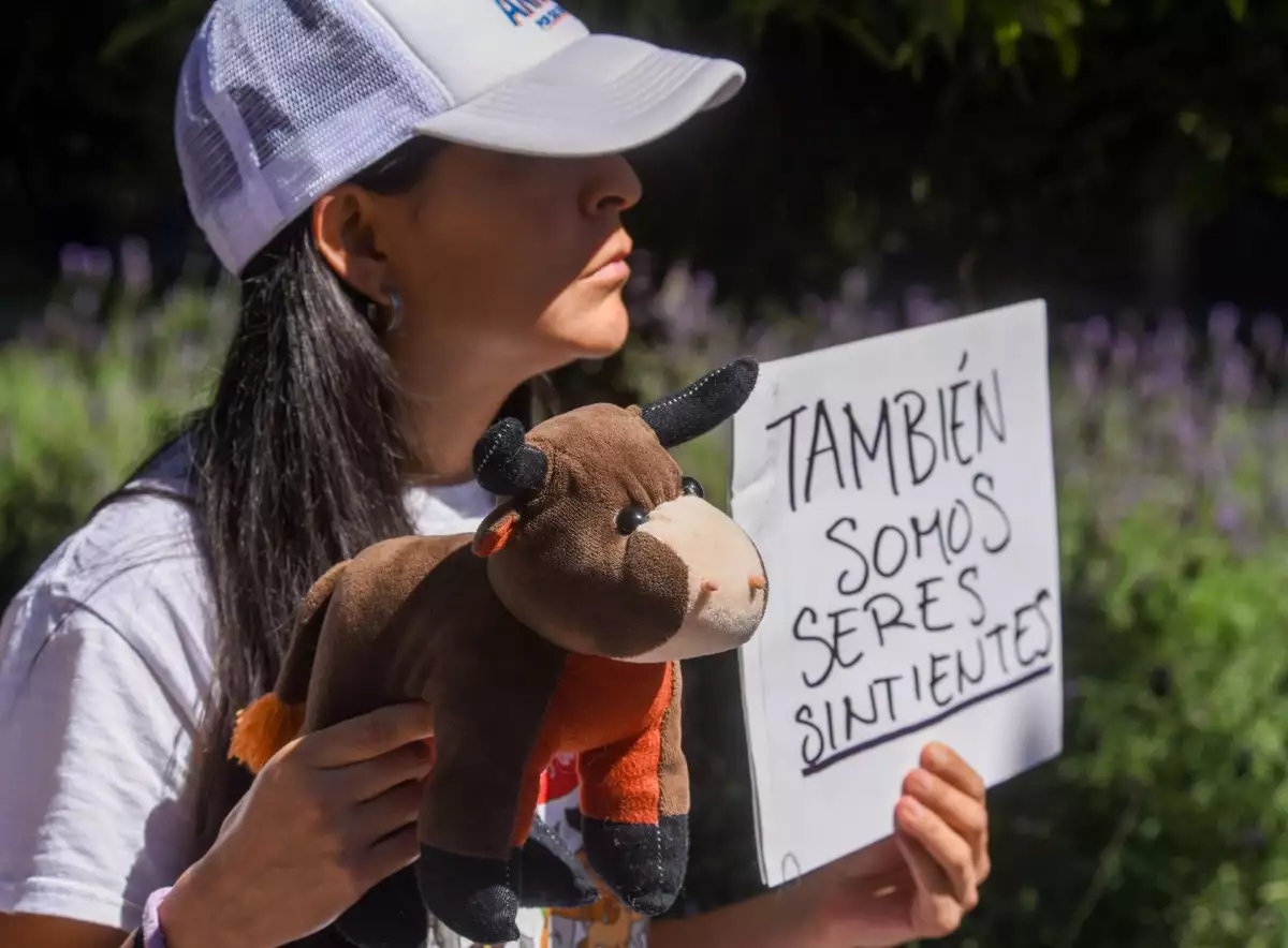 reformas estados maltrato animal