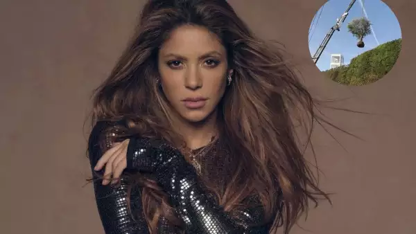 Shakira se lleva su árbol de Barcelona