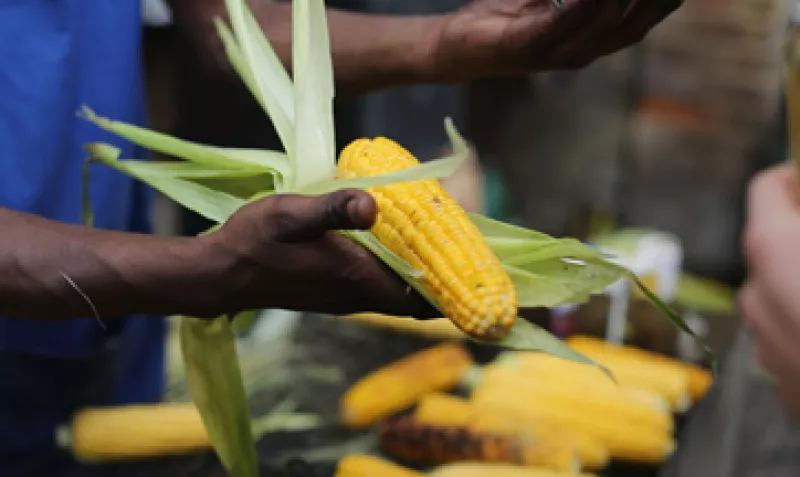 La FAO estima un nuevo mapa político de los flujos comerciales de países del sur. (Foto: Getty Images)