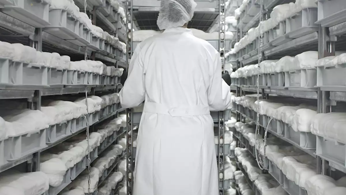 Foto: Adidas, Stan Smith Mylo