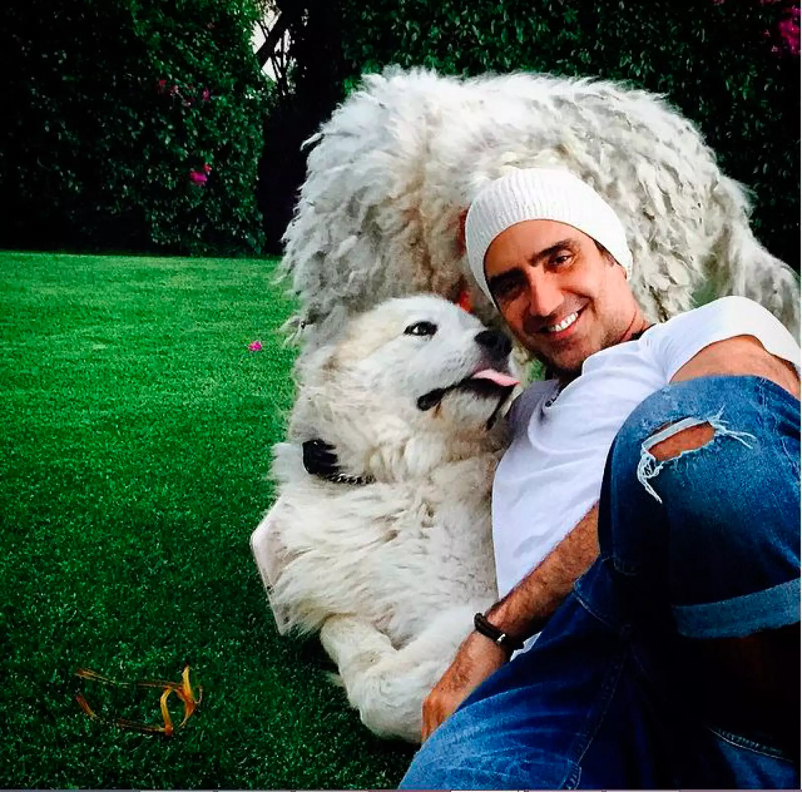 El Potrillo junto a sus mascotas.