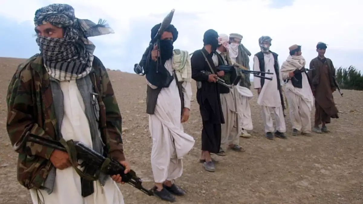 Talibanes