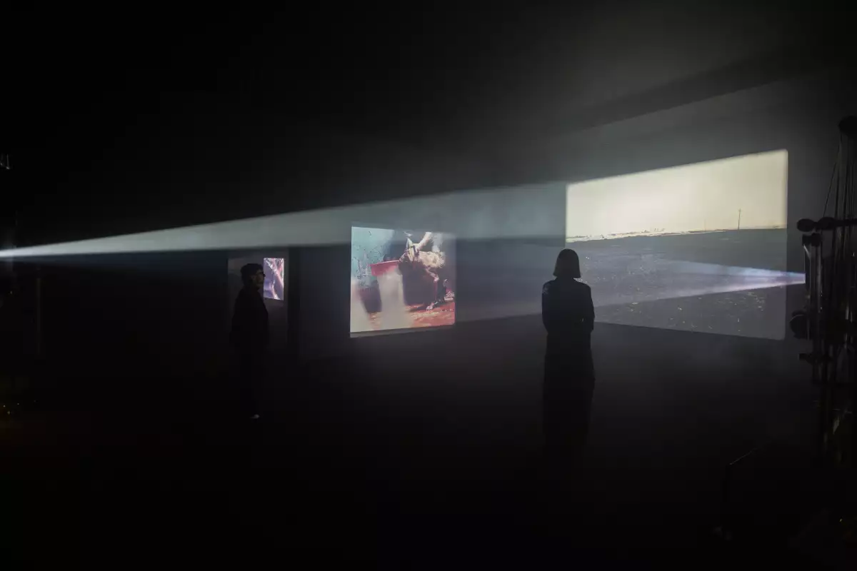 014_ALUM GÁLVEZ.jpg