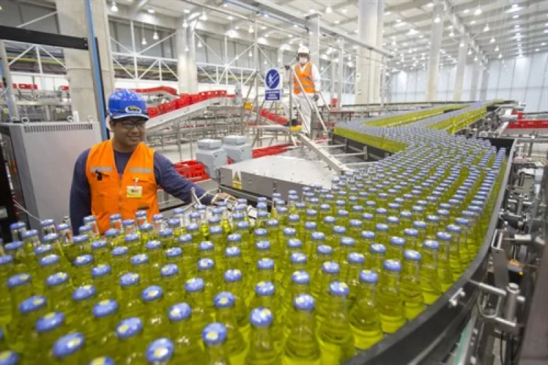 Reporte trimestral a la baja