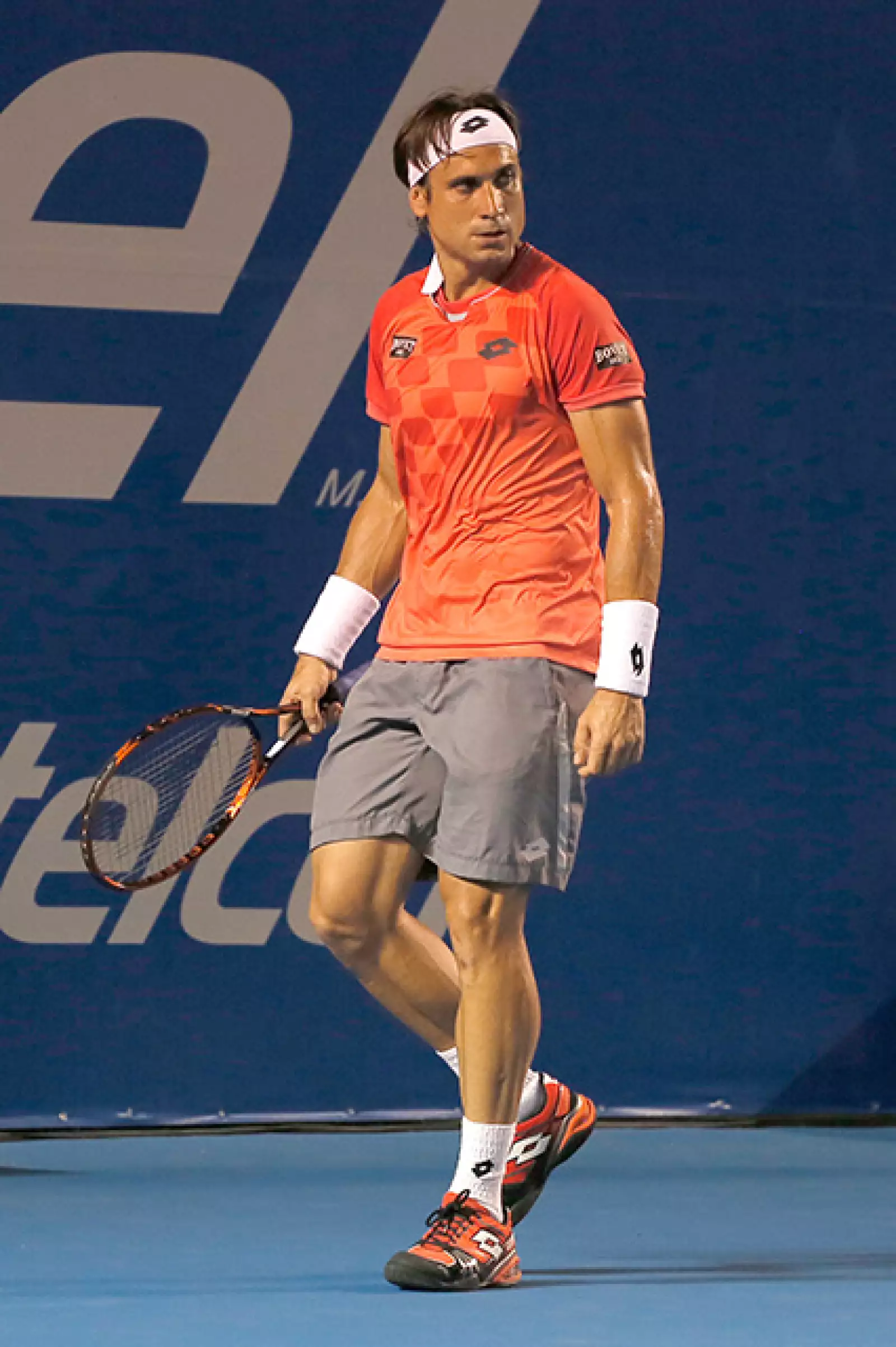 David Ferrer