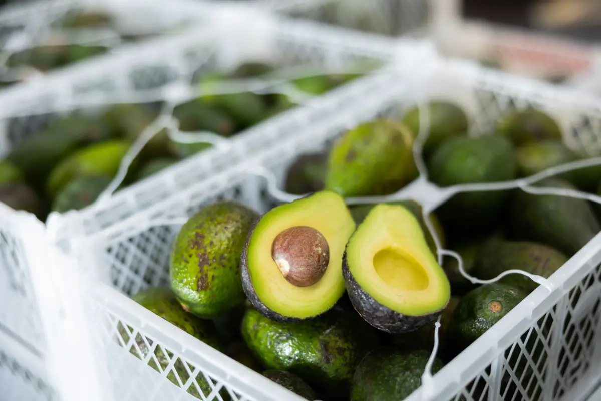 Two halves of ripe hass avocado on box with selected avocados