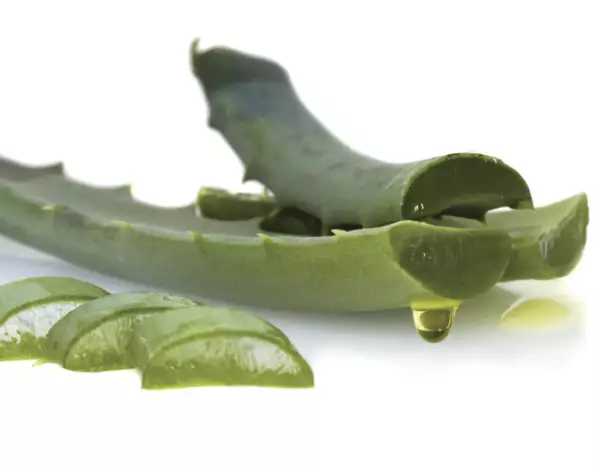 El aloe vera proporciona alivio a la comezón causada por la caspa.