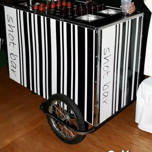 Boda Rodrigo Campos, Alejandra Zubiaur.