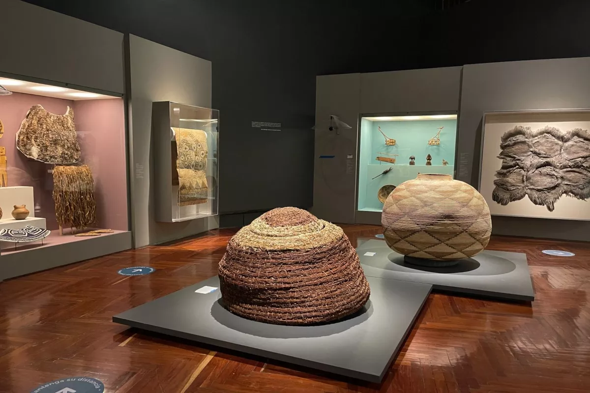 Arte de los pueblos de México. Disrupciones indígenas 