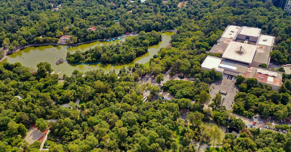 Así se ven los avances de la nueva Cineteca Chapultepec