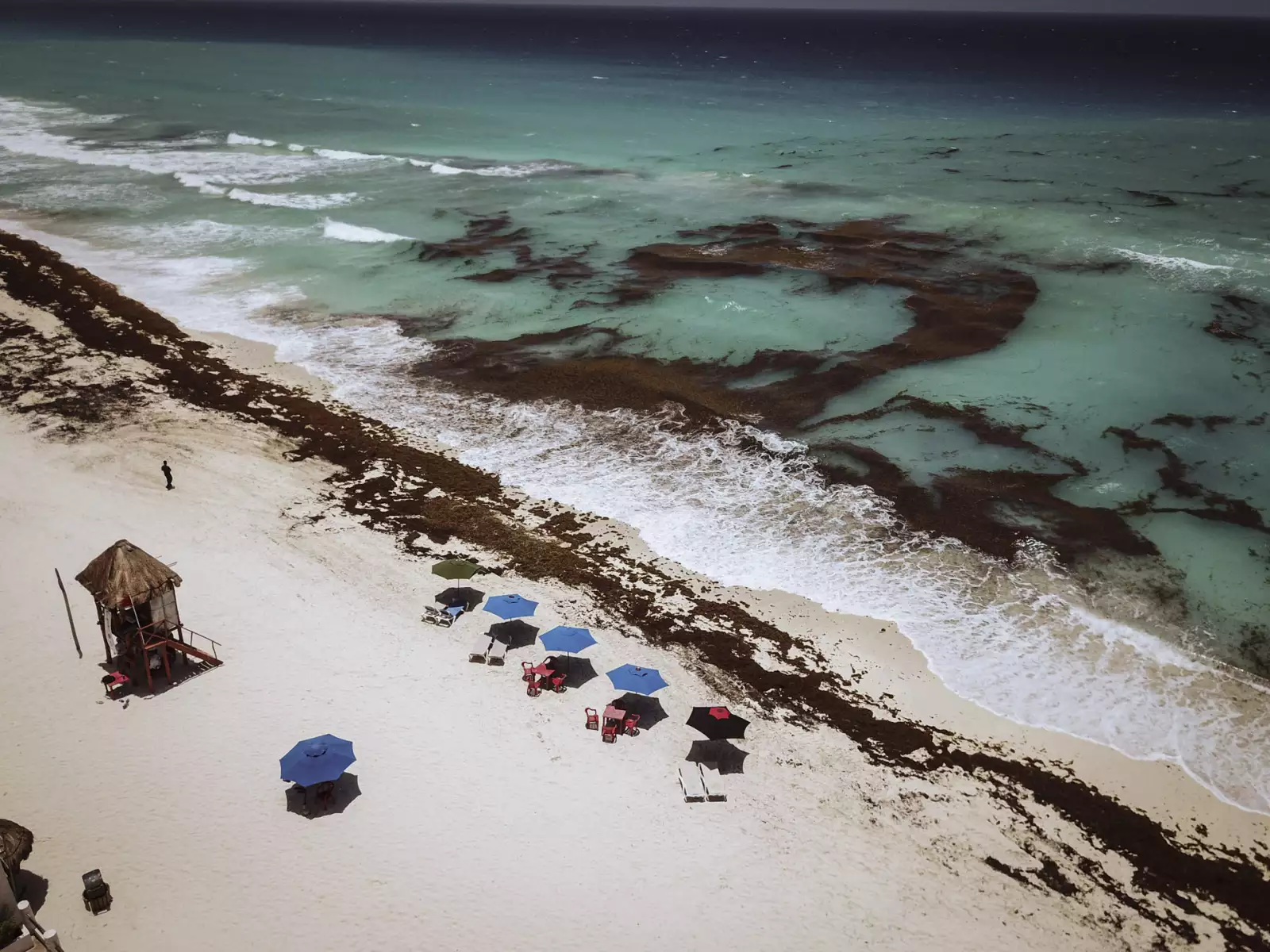 Miles de toneladas del alga llegan a los centros turísticos en la víspera del verano, en la imagen Playa Coral y Playa Ballenas Fe.